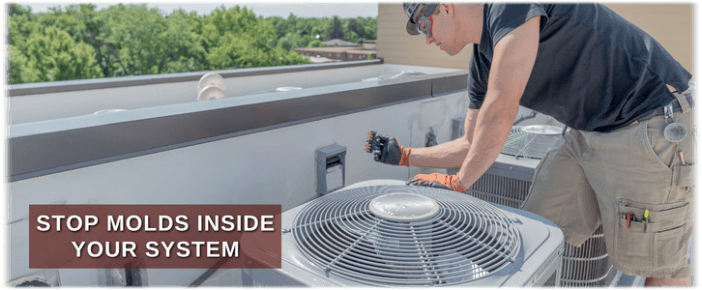 HVAC Mold Removal Newton MA